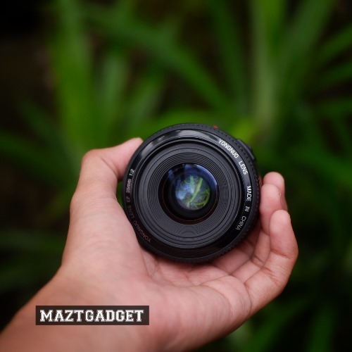 Lensa Fix Youngnuo 35mm F2 Like New - Jual Beli Kamera Surabaya