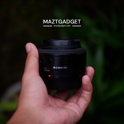Lensa Fix Canon Youngnuo - Jual Beli Kamera Surabaya